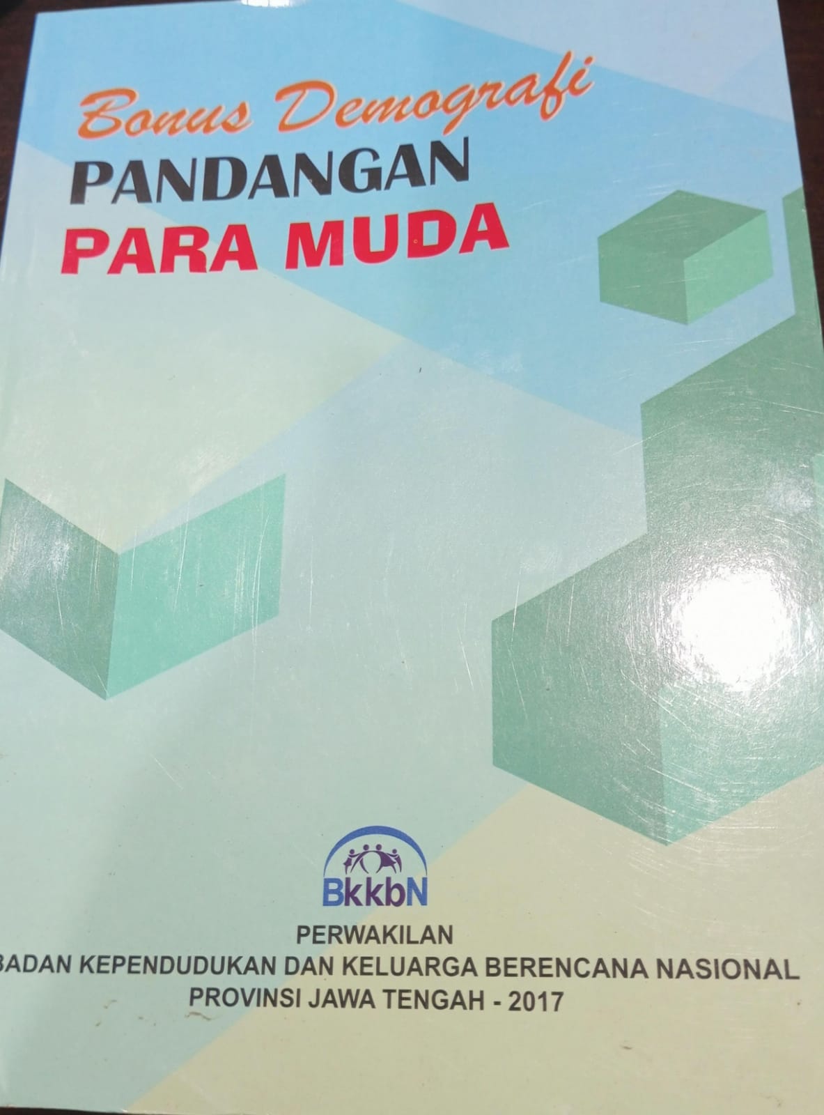 Cover Bonus Demografi Pandangan Para Muda - BKKBN