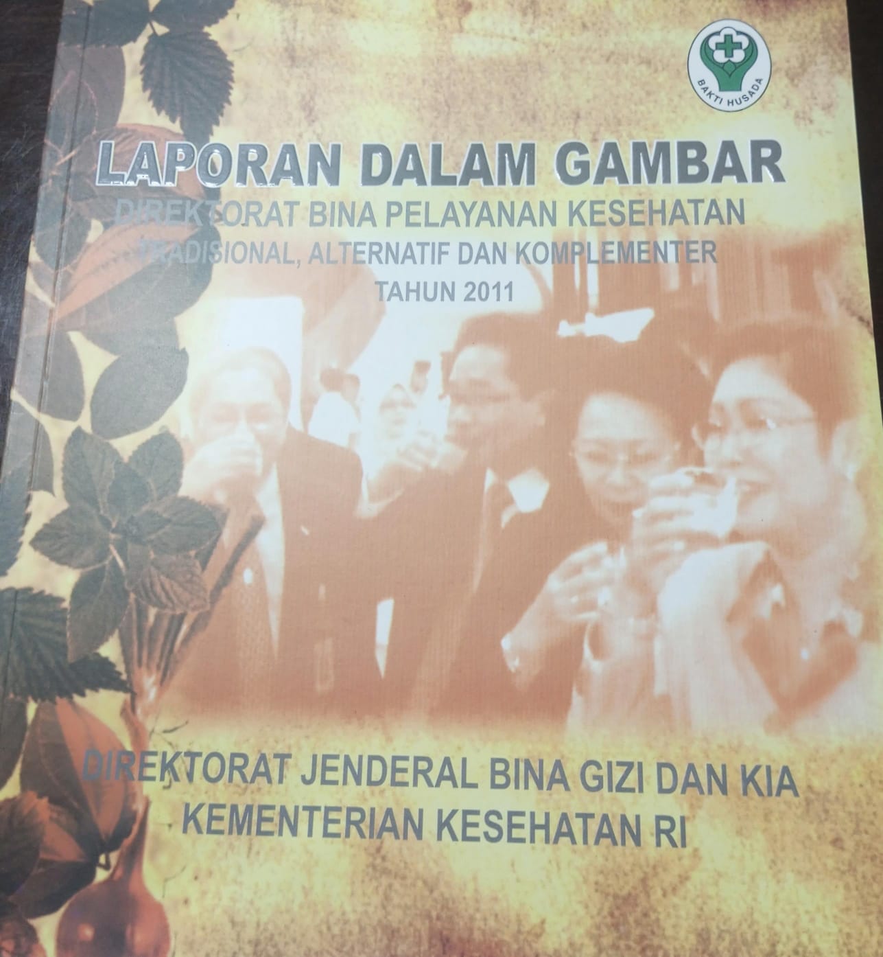 Cover Laporan dalam gambar Direktorat Bina Pelayanan Kesehatan  Tradisional, Alternatif dan Komplementer tahun 2011 Kementerian Kesehatan republik Indonesia