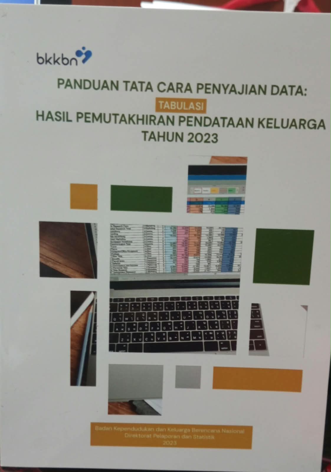 Cover Panduan tata cara penyajian data : Tabulasi Hasil Pemutakhiran Pendataan keluarga tahun 2023  - BKKBN