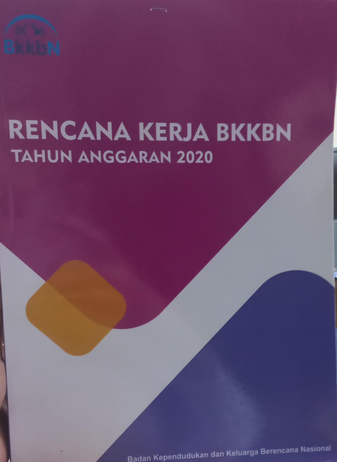 Cover Rencana Kerja BKKBN Tahun Anggaran 2020 - Badan Kependudukan dan Keluarga Berencana Nasional