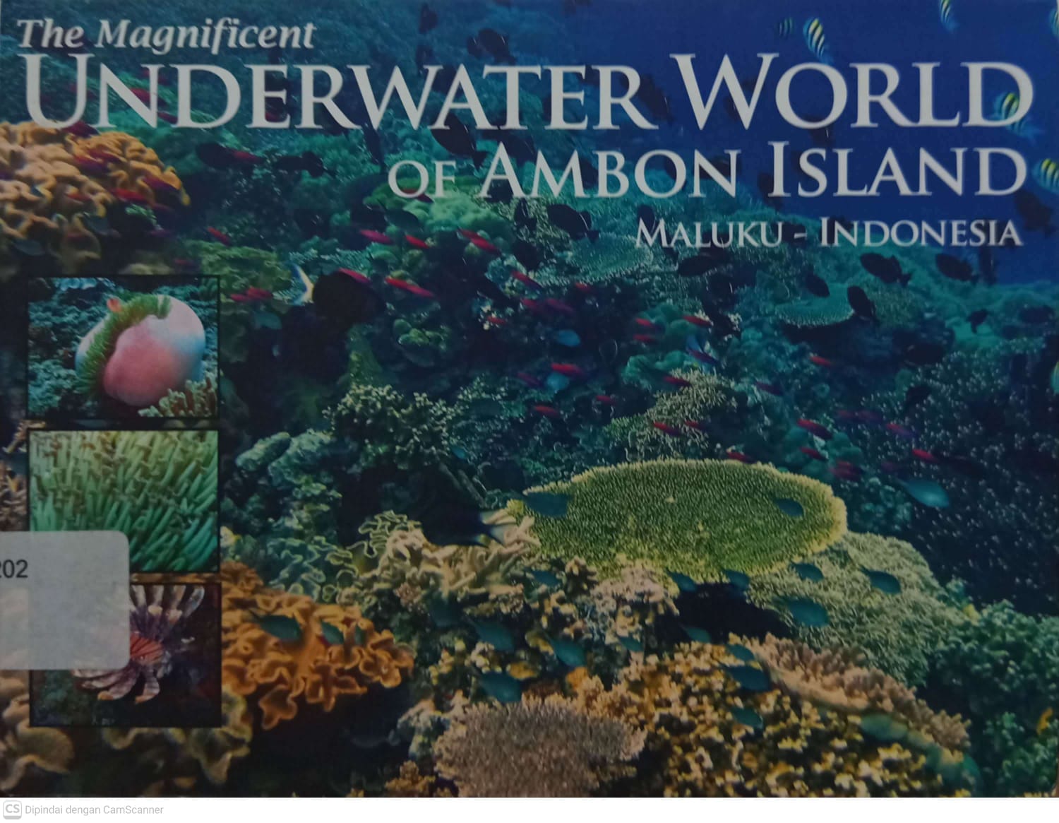Cover The Magnificent Underwater World Of Ambon Island Maluku - Indonesia Lembaga Kebudayaan Daerah Maluku